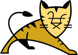 Apache Tomcat update