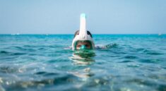 Snorkel AI valuation