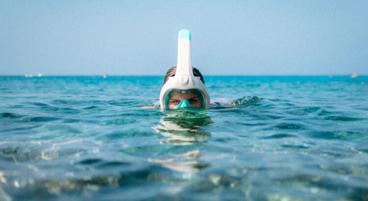 Snorkel AI valuation