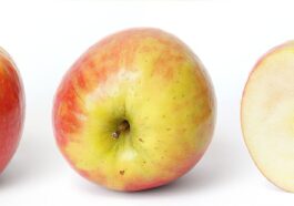 upcoming Apple launch