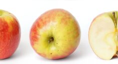 Apple October event